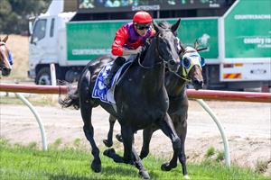 Gorgeous Success & Daniel Stackhouse,Stony Creek 28 Dec 2019